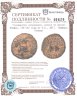 Купить Государство Селевкидов, Антиох VI Дионис Эпифан, 144-142 годы до Р.Х., АЕ17. (Амфора, Канфар)