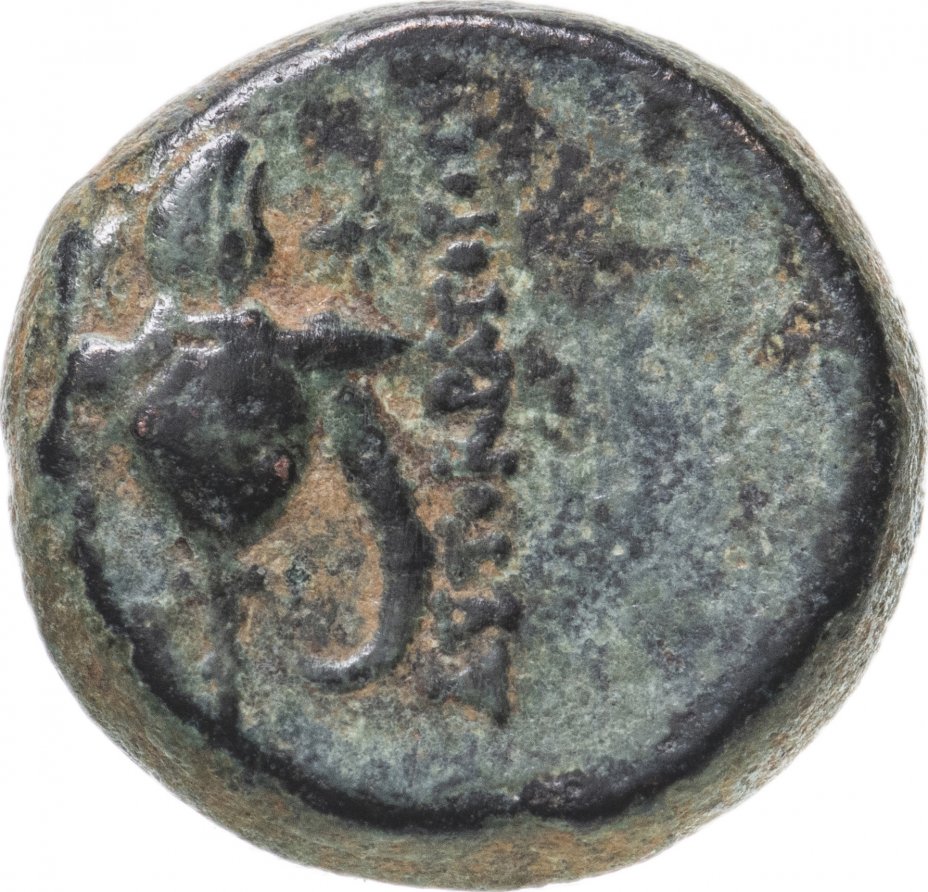 купить Селевкиды, Трифон, 142-138 годы до Р.Х., АЕ19.