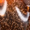 Купить Фруктовница оранжевого оттенка, предположительно Львовская керамико-скульптурная фабрика (ЛКСФ), цветное стекло, гутная техника, бульгазе, СССР, 1960-1980 гг.
