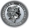 Купить Австралия 1 доллар (dollar) 2007  Year of the Pig (год Свиньи), цветное покрытие
