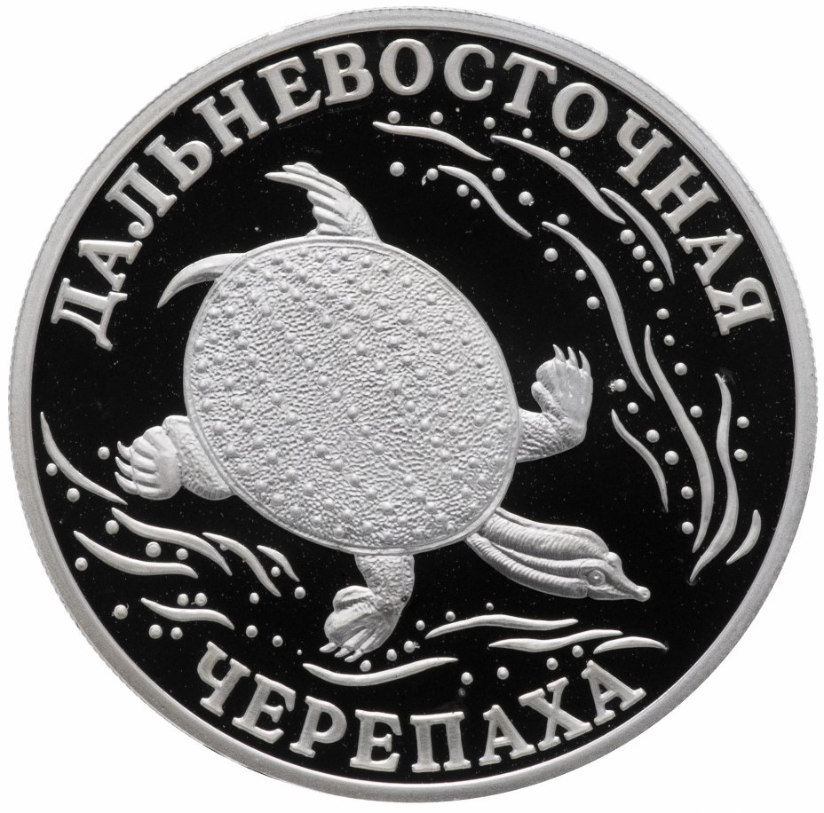 купить 1 рубль 2003 СПМД Proof "Красная книга: дальневосточная черепаха"