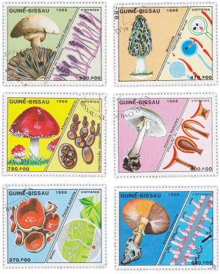 купить Гвинея-Бисау набор марок из 6 штук "Грибы"
