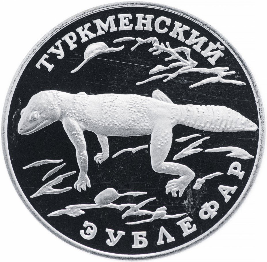 купить 1 рубль 1996 ЛМД Proof туркменский эублефар