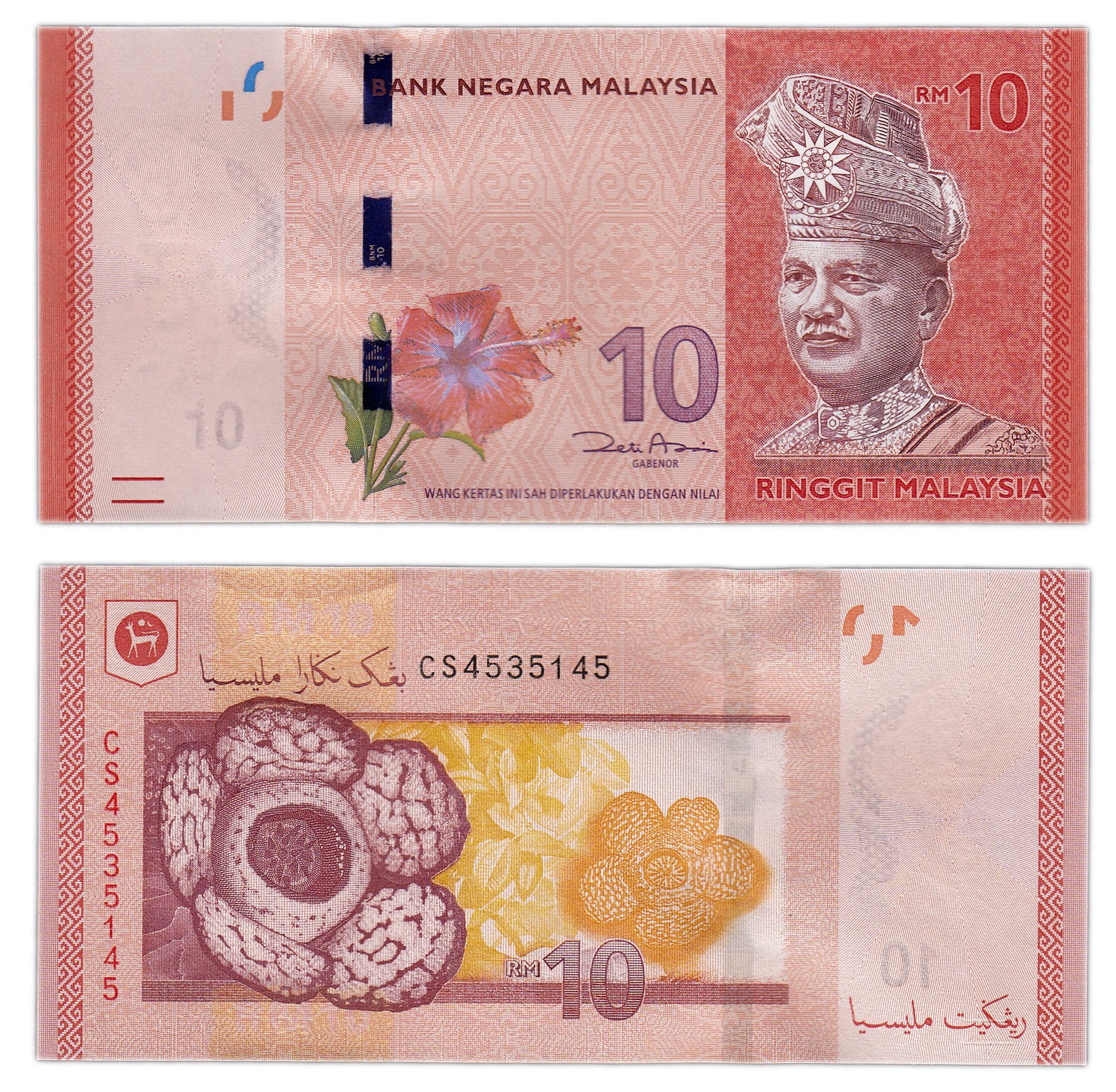 Ринггит малайзия. Банкноты Малайзии. Купюры Малайзии. Малайзийский ринггит банкноты.