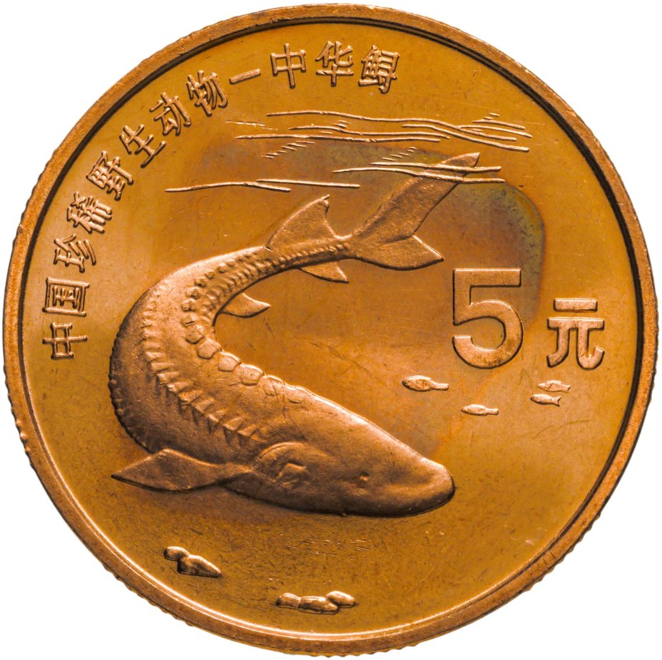 Китайский юань монеты. 5 Юаней монета. 5 Юаней 1999. Китайский юань монета. Китайский юань Монетка.