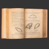 Купить Книга "Практические основы кулинарного искусства. Руководство для кулинарных школ и для самообучения", П.П. Александрова-Игнатьева, бумага, печать, кожа, тиснение, Типография М.М. Стасюлевича, Российская империя, 1908 г.