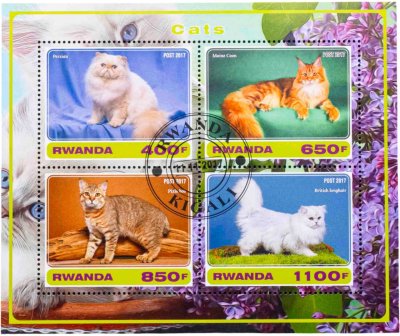 купить Руанда марки квартблок "Коты и кошки" 2017