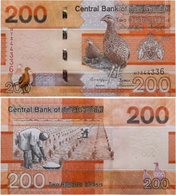 купить Гамбия 200 даласи 2023 год (Pick 42c)