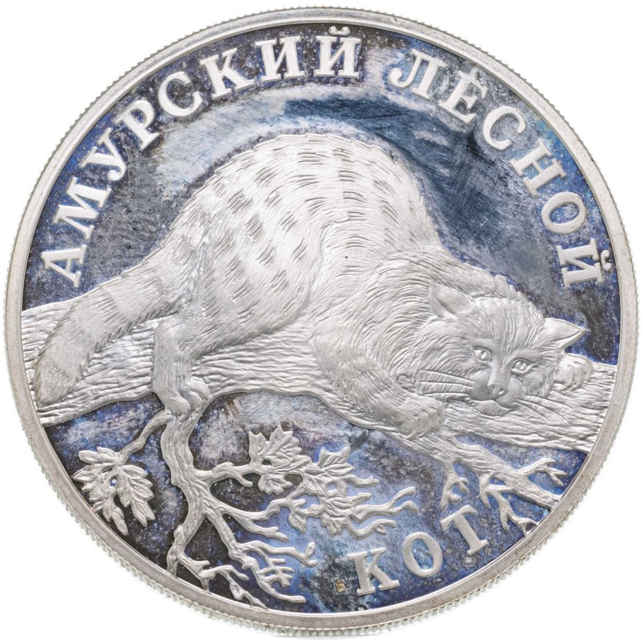 Монета 1 рубль 2004 СПМД амурский лесной кот стоимостью 4666 руб.