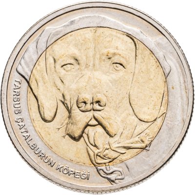 купить Турция 1 куруш 2021 "Собака чаталбурун (каталбурун)"