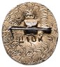 Купить Значок Юный Полевод  - Пионеры (Разновидность случайная )