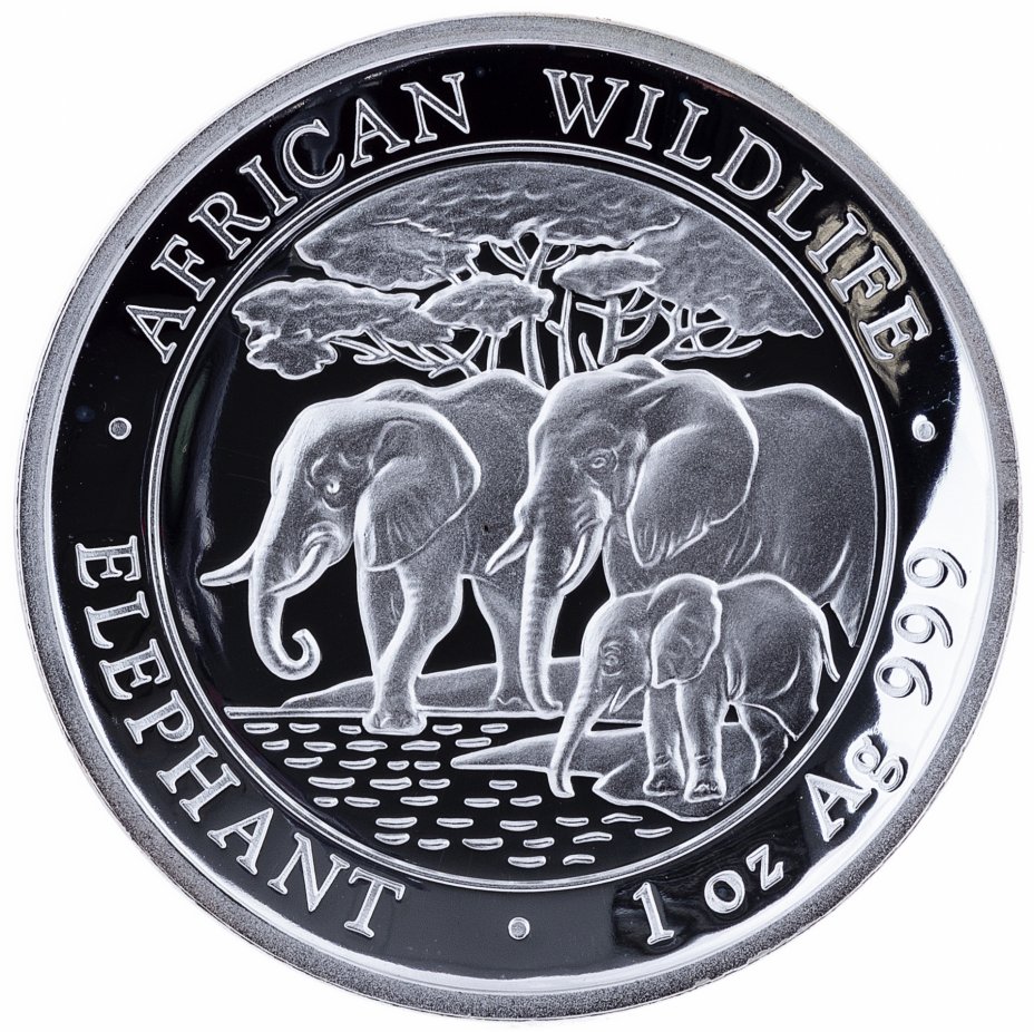 купить Сомали 100 шиллингов 2013  "Слон высокий рельеф", в футляре с сертификатом