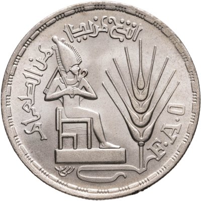 купить Египет 1 фунт (pound) 1976 ФАО