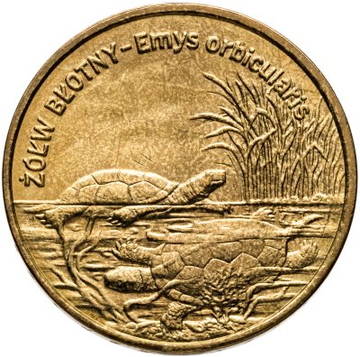 купить Польша 2 злотых 2002 "Болотная черепаха"