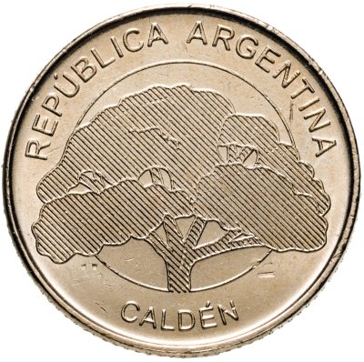 Купить Аргентина 10 песо (pesos) 2019