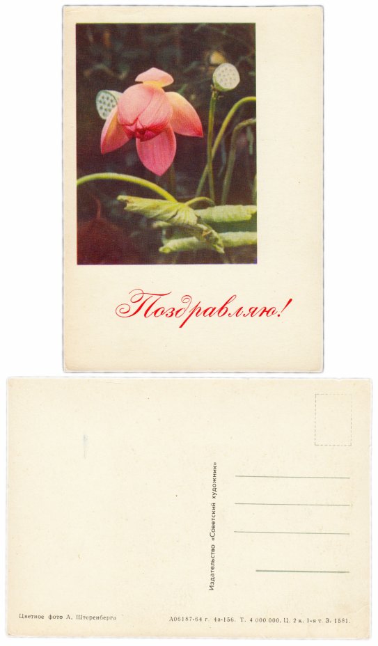 купить Открытка (открытое письмо)  "Поздравляю!" фото А. Штеренберга 1964