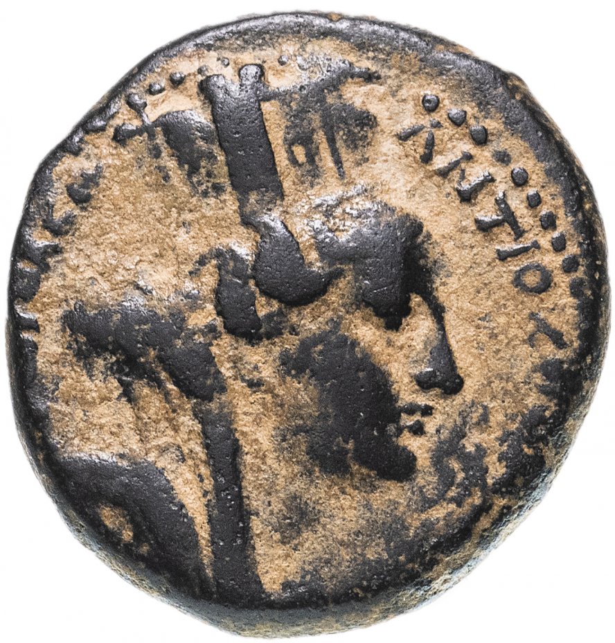 Монеты Антиохии на Оронте