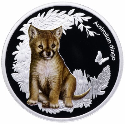 купить Австралия 50 центов (cents) 2011 "Детеныш собаки динго" в капсуле с сертификатом