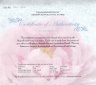 Купить Острова Кука 5 долларов 2008  "Пионы - цветы небесной красоты" в футляре на подставке, с сертификатом