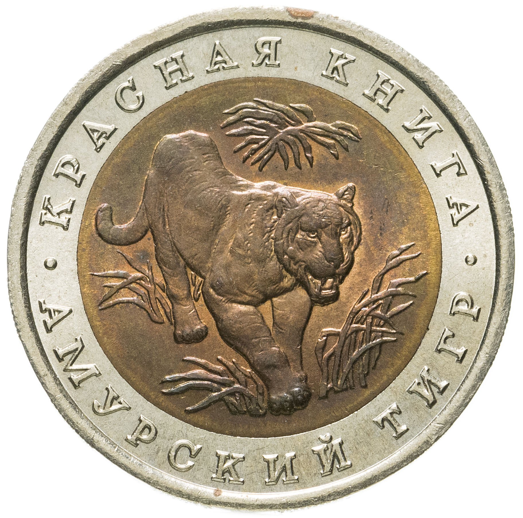 Монета 10 рублей 1992 ЛМД Амурский Тигр - Красная Книга стоимостью 1963 ...