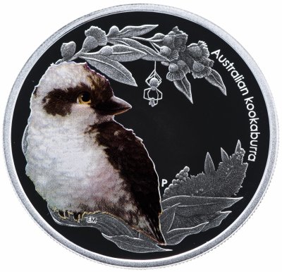 купить Австралия 50 центов 2012 "Детеныши австралийский животных II. Птенец кукабарры" в футляре