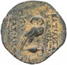 Купить Селевкиды, Клеопатра Тея и Антиох VIII, 125-121 годы до Р.Х., АЕ19. (Сова)