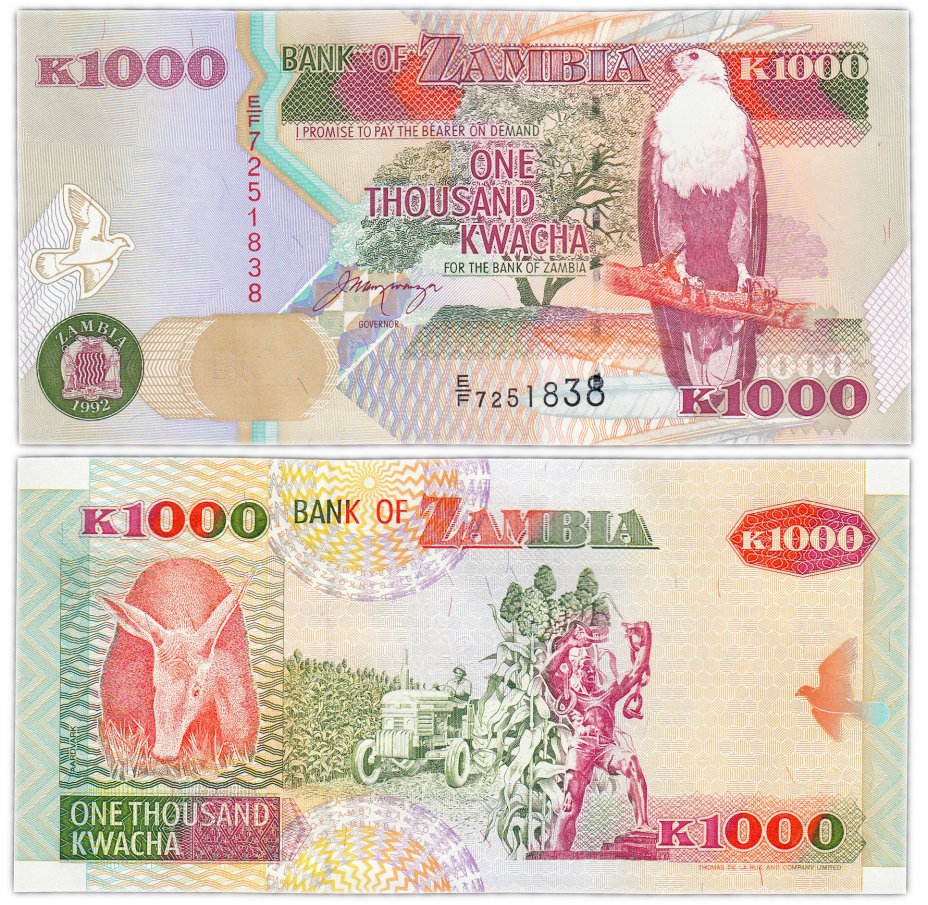 купить Замбия 1000 квача 1992  (Pick 40)