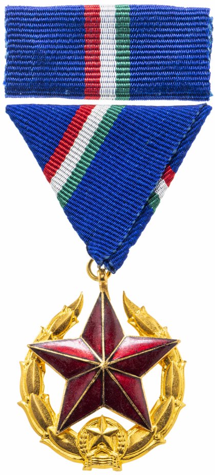 купить Венгрия медаль "Общественной Безопасности 1951 год. Золотой класс для сотрудников полиции. Тип 2" в футляре