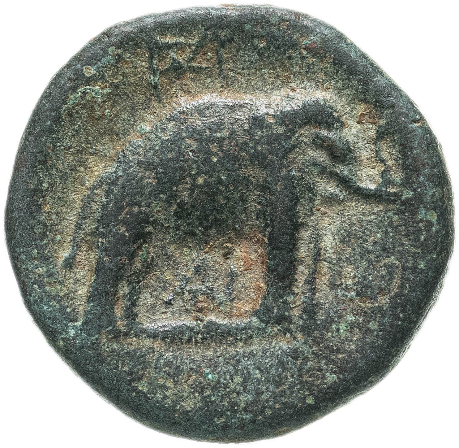 Никатор серпухов. Селевк Никатор монета. Селевк 1 Никатор. Селевк монета Баал. Селевк i Никатор ( ок.358-281 или 280 до н.э.).