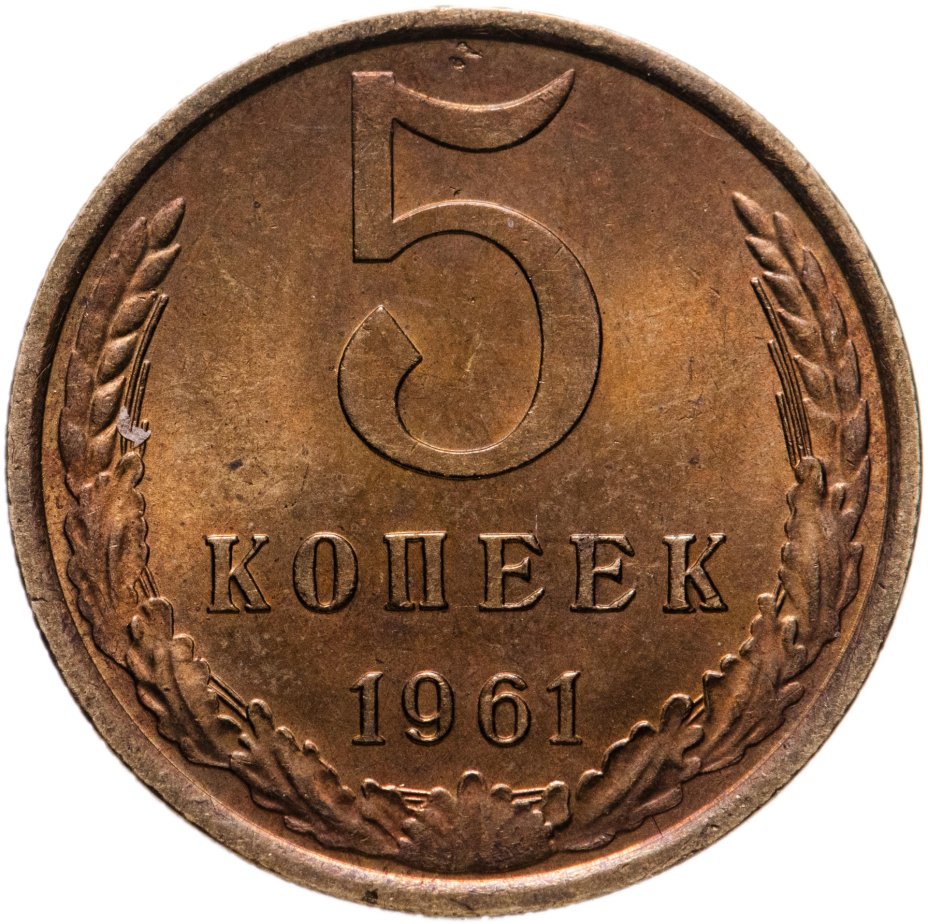 Монета 5 копеек 1961 стоимостью 501 руб.
