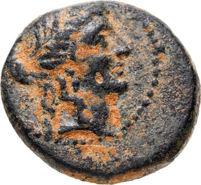 купить Государство Селевкидов, Деметрий II Никатор, 146-138 годы до Р.Х., АЕ17.