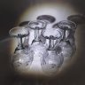 Купить Рюмки на четыре персоны, декорированные по тулову флористическим рисунком, стекло, матирование, СССР, 1970-1990 гг.