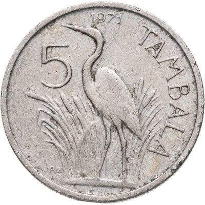 купить Малави 5 тамбал (tambala) 1971