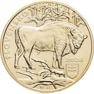 купить Словакия 5 евро 2024 Бизон