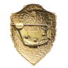 Купить Наградной знак "Отличник ВВС" алюминий, заколка, СССР, 1960-1990 гг.