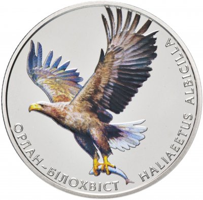 купить Украина 2 гривны 2019 "Орлан-белохвост"