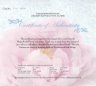 Купить Острова Кука 5 долларов 2008  "Пионы - цветы небесной красоты" в футляре на подставке, с сертификатом