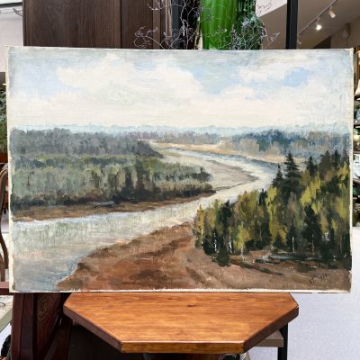 купить Картина "Речной пейзаж" (условное название), автор Гребенщиков Е. Ц, холст на картоне, масло, СССР, 1963 г.