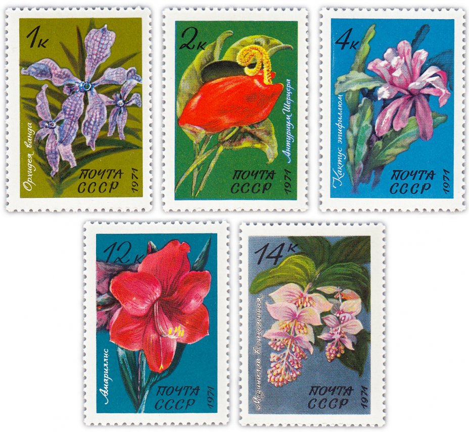 купить Полная серия 1971 "Тропические и субтропические растения" (5 марок)