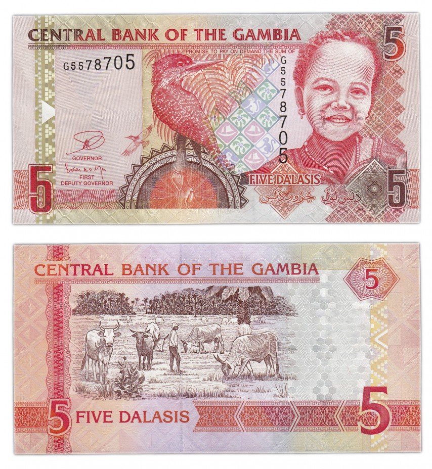 купить Гамбия 5 даласи 2013 (Pick 25)