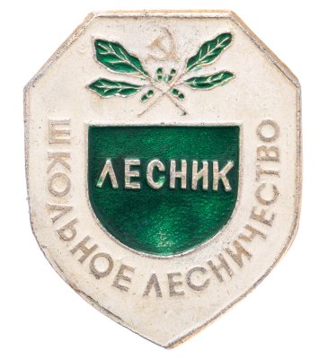купить Значок Лесник - Школьное лесничество (Разновидность случайная )