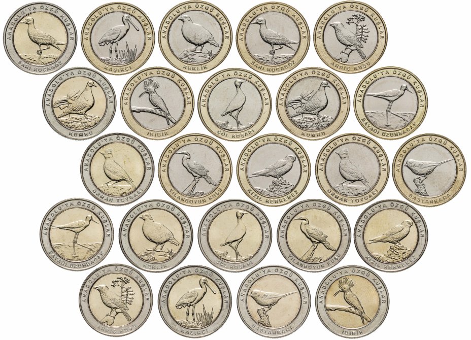 купить Турция набор 24 монеты 1 куруш 2019 (2020) "Анталийские Птицы"