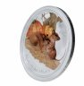 Купить Австралия 1 доллар (dollar) 2008 UNC "Год мыши (год крысы) - лунный календарь (Лунар II)" с цветной эмалью