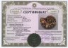 Купить Аммонит Cleoniceras sp., полированный срез 5,8х4,7 см (Мадагаскар)