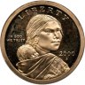 Купить США 1 доллар (dollar) 2000 Sacagawea dollar (Сакагавея доллар - парящий орёл), двор S