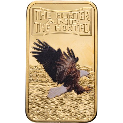 купить Сомали 25 шиллингов (shillings) 2013 "Охотник и жертва - Белоголовый орлан"