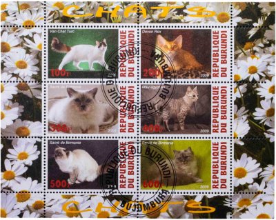 купить Бурунди марки квартблок "Коты и кошки" 2009