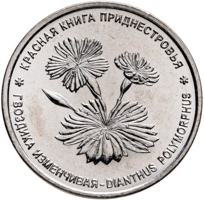купить Приднестровье 1 рубль 2025 "Гвоздика изменчивая"