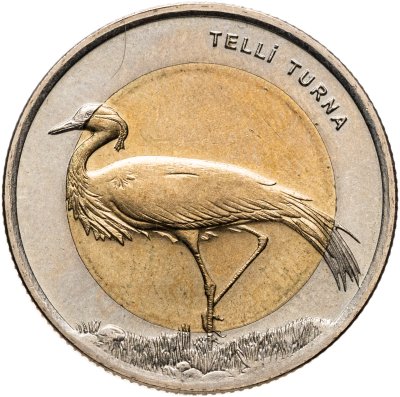 купить Турция 1 лира 2013 "Фауна Турции - Журавль-Красавка"