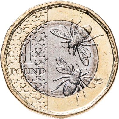 купить Великобритания 1 фунт 2025 "Пчелы"